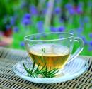  Benefits Of What Are The Major Gynostemma Tea  
